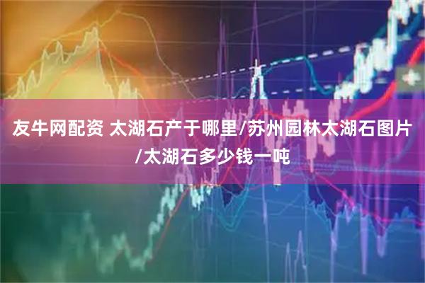 友牛网配资 太湖石产于哪里/苏州园林太湖石图片/太湖石多少钱一吨